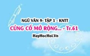 Soạn bài Củng cố, mở rộng trang 61 lớp 9 tập 1 Kết nối tri thức